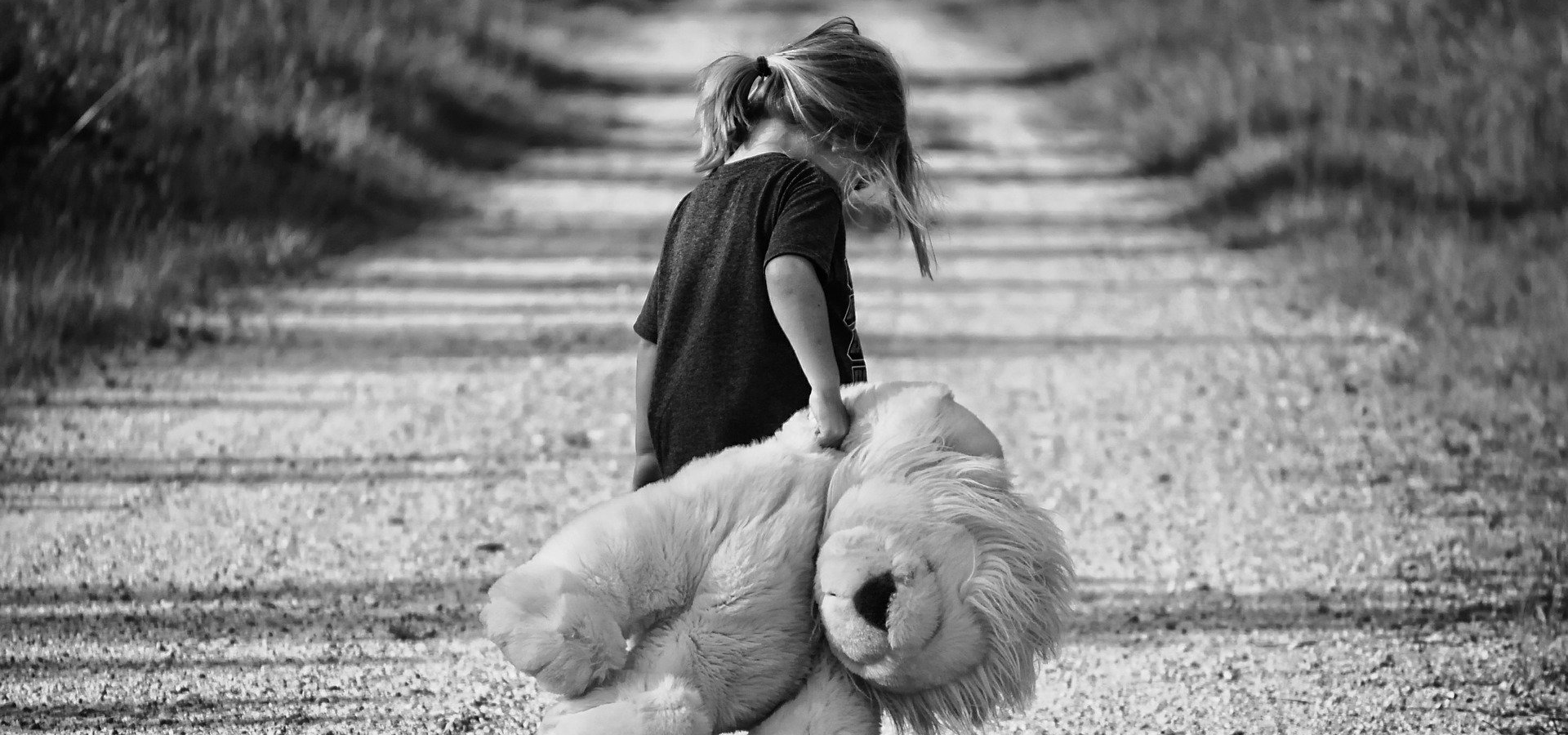 Zdjęcie przestawia szeroką, piaszczystą drogę. Idzie nią mała dziewczynka, na spuszczoną głowę. Trzyma w prawej ręce dużego, pluszowego lwa.