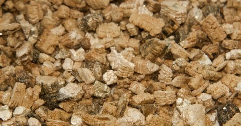 Zdjęcie przedstawia wermikulit. Są to kamyczki o nieregularnym kształcie i jasnobrązowym kolorze. Przypominają wnętrze orzecha włoskiego.