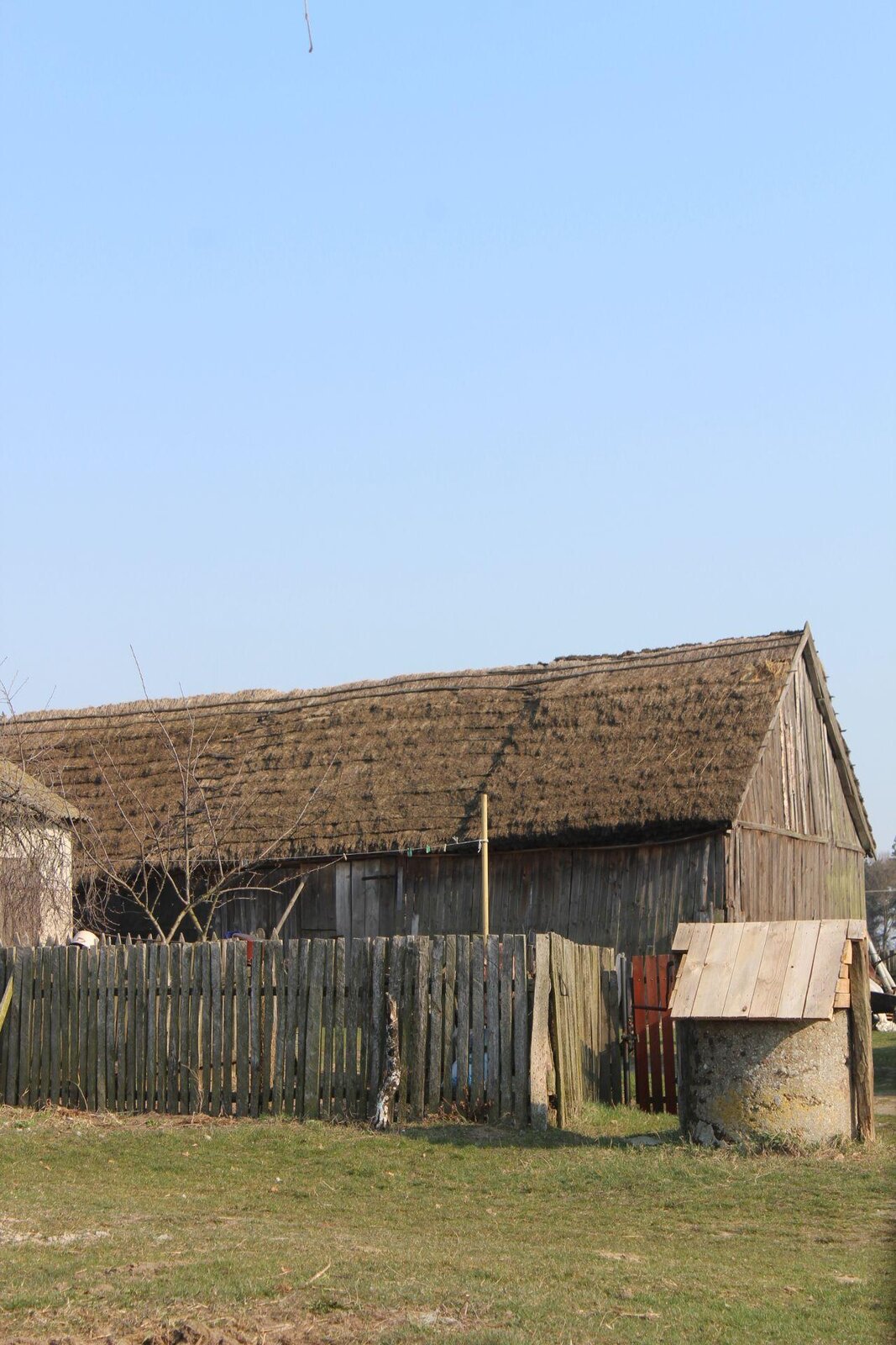 Zdjęcie przedstawia drewniany budynek ze skośnym dachem wykonanym ze słomy. Stodoła jest ogrodzona niskim, drewnianym płotem, a tuż obok ogrodzenia widoczna jest studnia przykryta deskami ułożonymi pod skosem. Przed płotem rośnie niska, zielona trawa. Niebo jest błękitne, bezchmurne. Zdjęcie zostało wykonane w świetle dziennym.