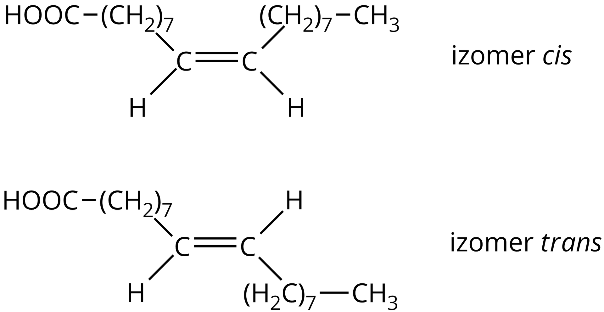 Na ilustracji jest wzór izomeru cis i trans. Izomer cis ma wzór: dwa atomy węgla łączą się ze sobą wiązaniem podwójnym. Każdy z nich na dole łączy się z atomem wodoru. Atom węgla leżący po lewej stronie łączy się z grupą metylenową 7 razy wziętą, ta z kolei łączy się z grupą COOH. Atom węgla znajdujący się po prawej stronie łączy się z grupą metylenową 7 razy wziętą, która łączy się z grupą metylową. Izomer trans ma wzór: dwa atomy węgla łączą się ze sobą wiązaniem podwójnym. Atom węgla po lewej stronie łączy się na dole z atomem wodoru. Atom węgla po prawej stronie łączy się u góry z atomem węgla. Atom węgla leżący po lewej stronie łączy się u góry z grupą metylenową 7 razy wziętą, ta z kolei łączy się z grupą COOH. Atom węgla znajdujący się po prawej stronie łączy się na dole z grupą metylenową 7 razy wziętą, która łączy się z grupą metylową.