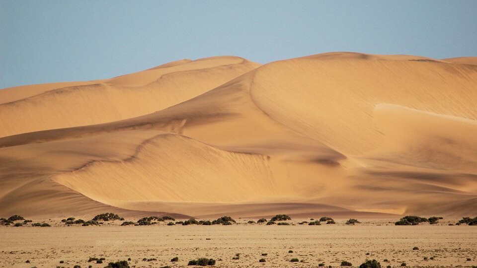 Zdjęcie wydm. Na pierwszym planie teren płaski. Na drugim planie olbrzymie wydmy – barchany.