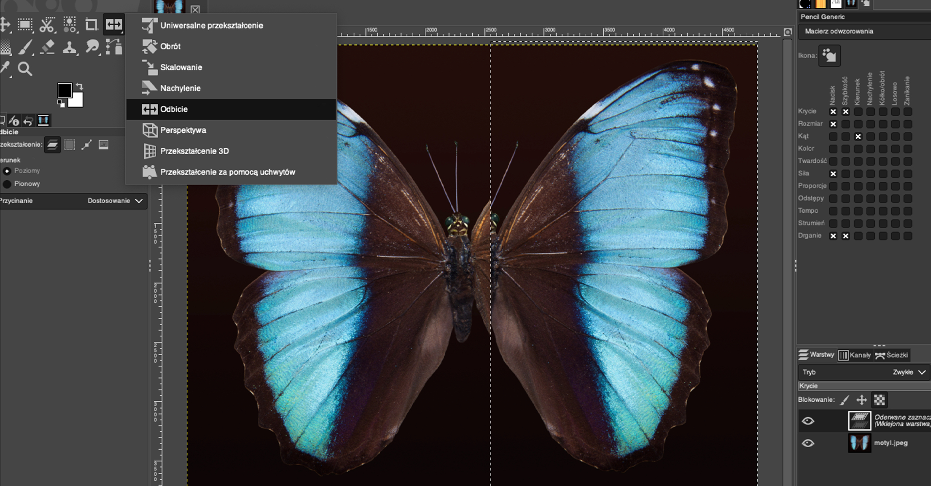 Ilustracja przedstawia okno programu. Z opcji wybrano Odbicie. W obszarze roboczym jest motyl z nieznacznie przesuniętym prawym skrzydłem względem reszty ciała. Po prawej stronie jest panel dotyczący Pencil Generic, Macierz odwzorowania. Poniżej jest sekcja dotycząca warstw. Tam dwie warstwy: Oderwane zaznaczenie (wklejona warstwa) oraz motyl.jpeg.