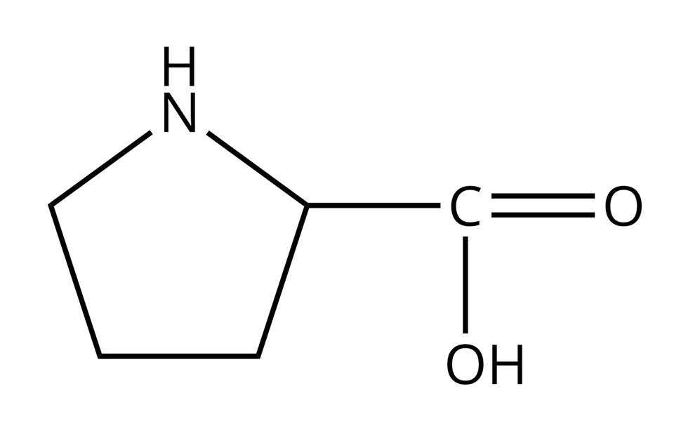 Wzór półstrukturalny proliny. Zawiera ona w swej strukturze pięcioczłonowy pierścień pirolidynowy zbudowany z pierścienia cyklopentanu, zawierającego jeden atom azotu. Do tego pierścienia z prawej strony przyłączone jest wiązanie pojedyncze prowadzące do atomu węgla. Od niego odchodzą dwa wiązania: podwójne w prawo prowadzące atomu tlenu i pojedyncze w dół do grupy O H.
