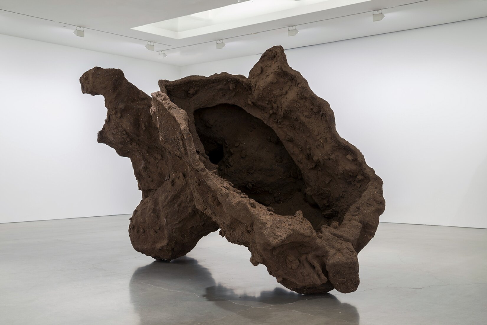 Zdjęcie przedstawia dużą brązową rzeźbę. Dzieło wyglądem przypomina muszlę. Faktura rzeźby jest nierównomierna. Rzeźba znajduje się w białym pokoju.