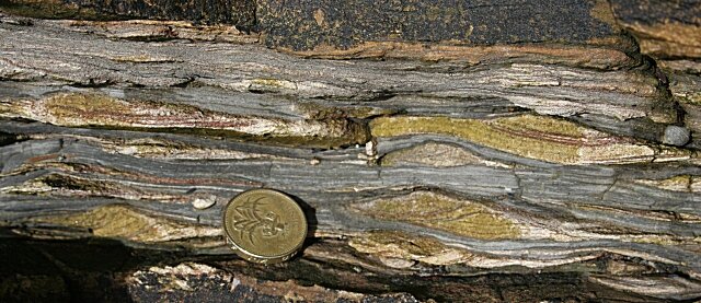 Zdjęcie przedstawia fragment skały. Ma warstwy. Niektóre z nich tworzą kształt przypominający elipsę. Te fragmenty są jasnożółte, zbliżone do koloru złotego. Pozostałe warstwy skały są szare. Skała wydaje się być krucha.  