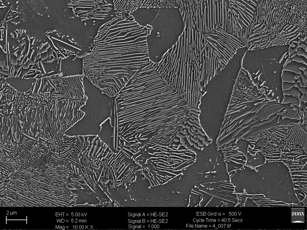 Stop o zawartości węgla 0,6%
 W strukturze perlitu widoczne płytki cementytu i ferrytu - zdjęcie wykonane na mikroskopie SEM 