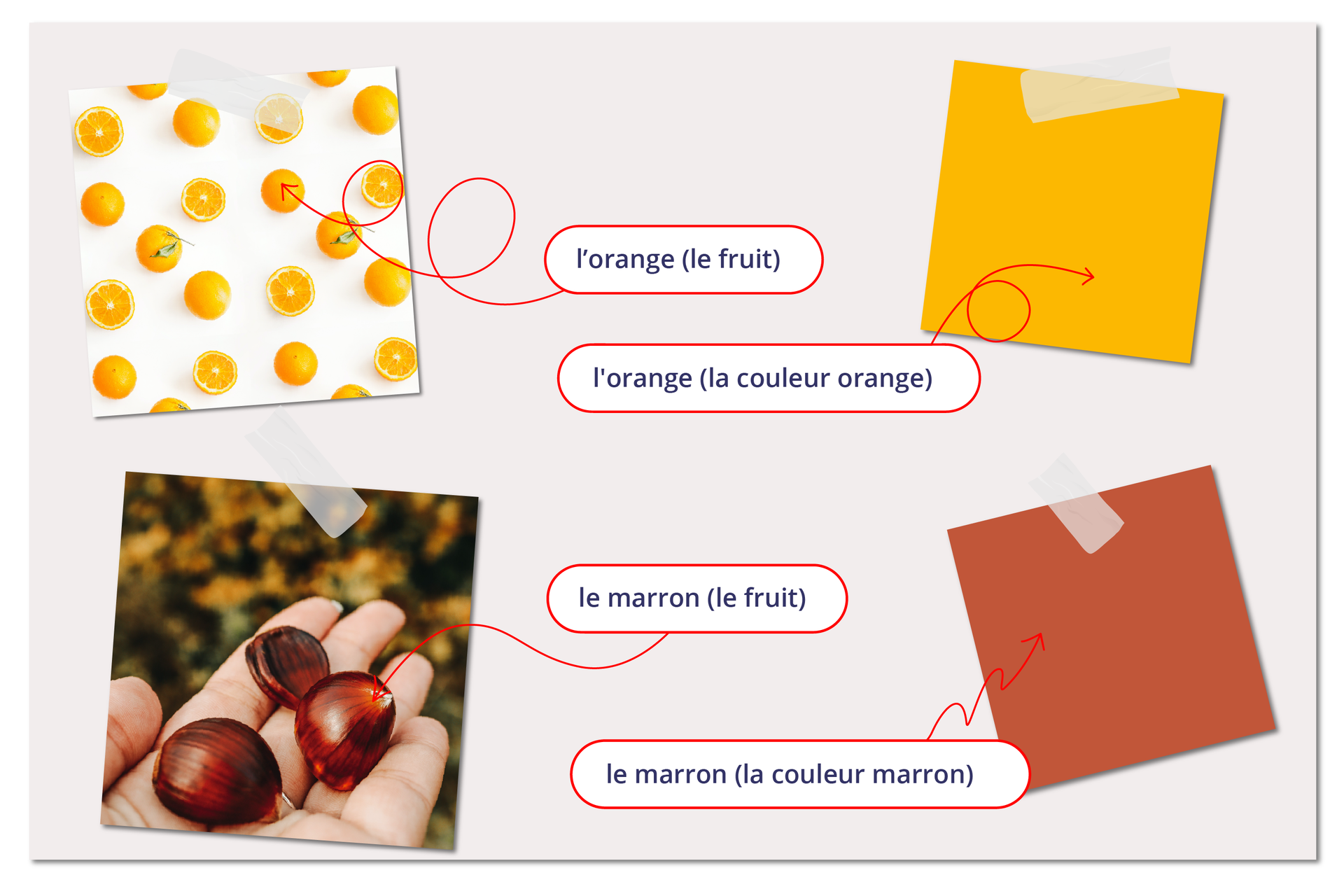 Pomarańcza jest pomarańczowa, a kasztan kasztanowy