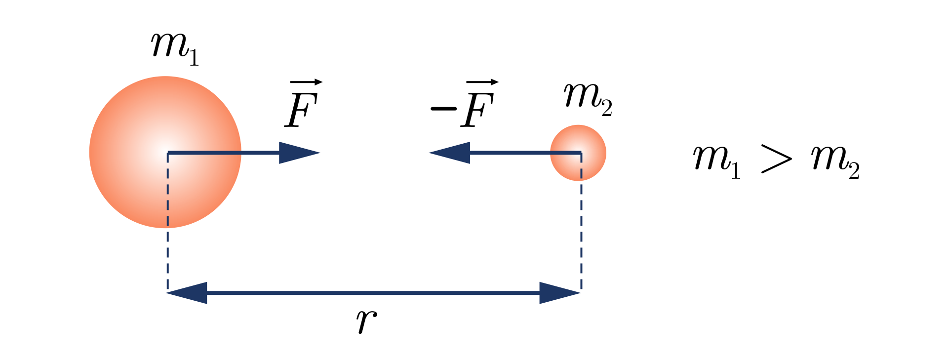 Na ilustracji dwie kule: większa o masie małe em z indeksem dolnym jeden oraz dużo mniejsza, o masie małe em z indeksem dolnym dwa. Obok napis: małe em z indeksem dolnym jeden większe od małe em z indeksem dolnym dwa. Środki kul znajdują się na tej samej wysokości. Odchodzą od nich w dół przerywane linie, między którymi zaznaczono odległość małe er. Od środków mas odchodzą wektory siły, skierowane w kierunku środka drugiej masy. Wektor od masy pierwszej to duże ef, wektor od masy drugiej to minus duże ef.