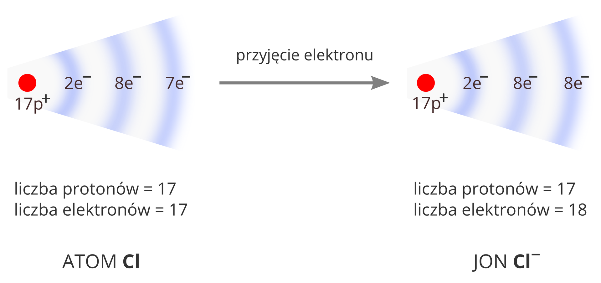 Schemat opisujący zmianę konfiguracji elektronowej atomu chloru podczas powstawania jonu. Po lewej stronie widoczny jest rysunek przedstawiający jądro atomu chloru w postaci czerwonego koła podpisanego 17p+ oraz towarzyszącego mu biało‑fioletowego wachlarza ilustrującego obecność trzech powłok elektronowych. Opisana jest też ich zawartość: 2 elektrony na pierwszej powłoce, 8 elektronów na drugiej powłoce i siedem elektronów na trzeciej powłoce. Rysunek podpisany jest następująco: liczba protonów równa 17, liczba elektronów równa 17. Atom Cl. Lewą stronę schematu z prawą łączy strzałka skierowana w prawo opisana przyjęcie elektronu. Po prawej stronie ponownie widoczny jest rysunek przedstawiający strukturę atomu chloru z trzema powłokami elektronowymi mającymi kolejno dwa, osiem i osiem elektronów. Rysunek podpisany jest następująco: liczba protonów równa 17, liczba elektronów równa 18. Jon Cl-.