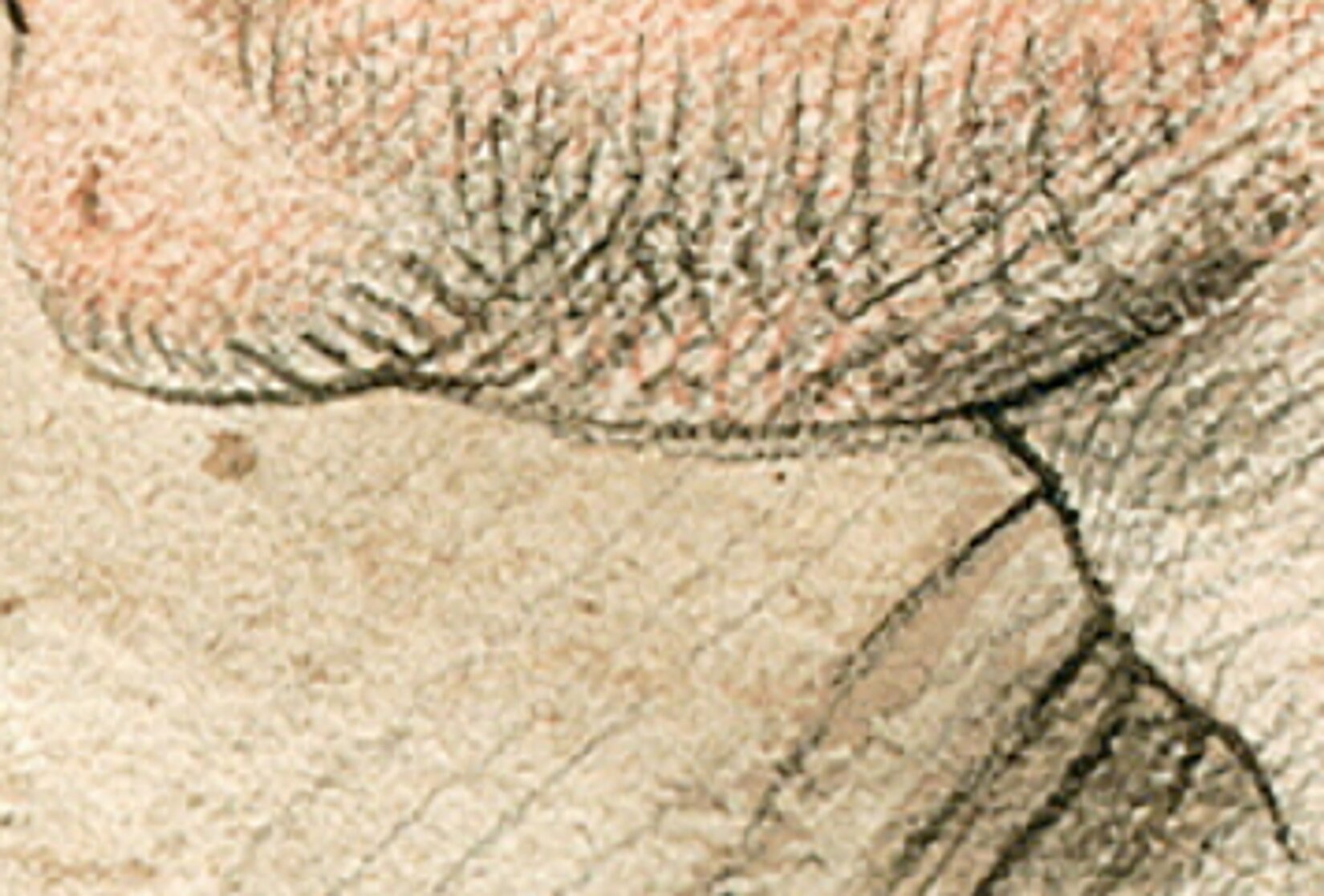 Ilustracja nr 1 do ćwiczenia nr 6, wikimedia.org, domena publiczna