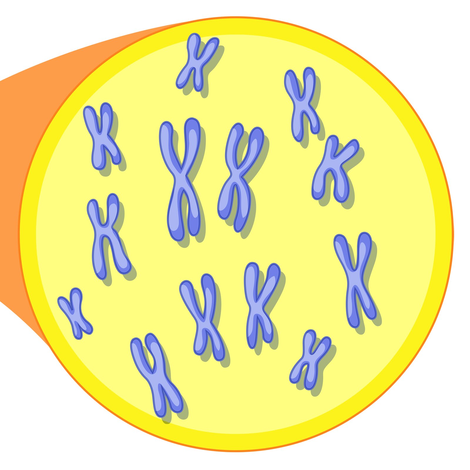 Zdjęcie przedstawia okrąg a w nim widoczne litery X.