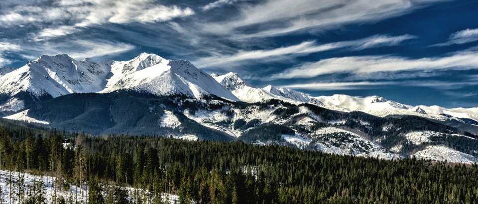 Fotografia przedstawiająca obraz zaśnieżonych gór wysokich. Przed górami znajduje się las. Na szczyty gór pada słońce.