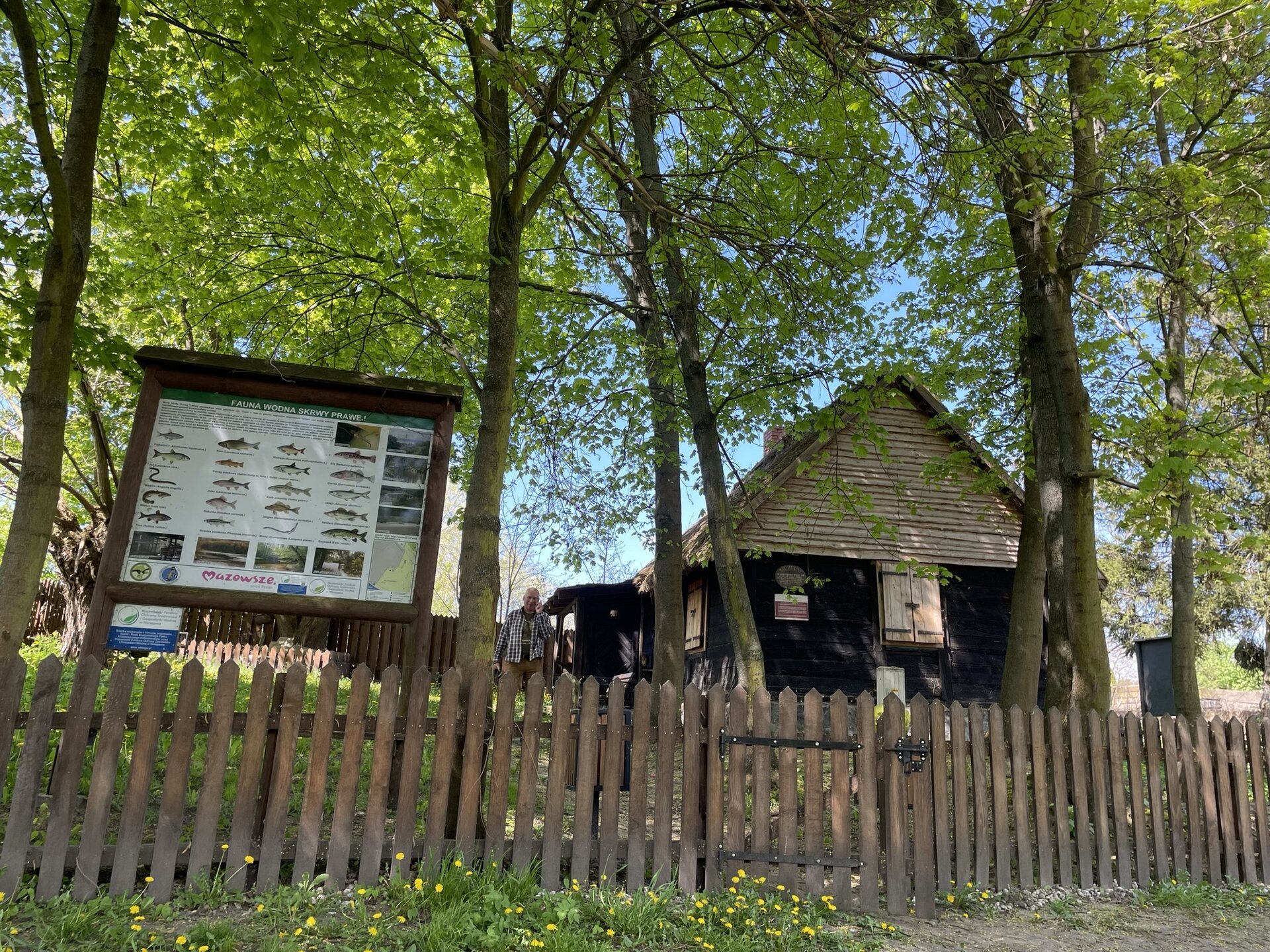 Fotografia przedstawia drewnianą chatę ze słomianym dachem ogrodzoną drewnianym płotem. Wokół chaty drzewa.