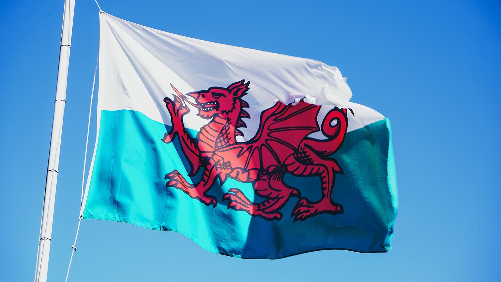 Zdjęcie przedstawia powiewającą na wietrzę flagę Walii, zamocowaną na maszcie. Widoczny jest prostokąt, z białym pasem u góry oraz zielonym (na zdjęciu niebieskim) u dołu, na których widoczny jest czerwony smok skierowany w lewo.