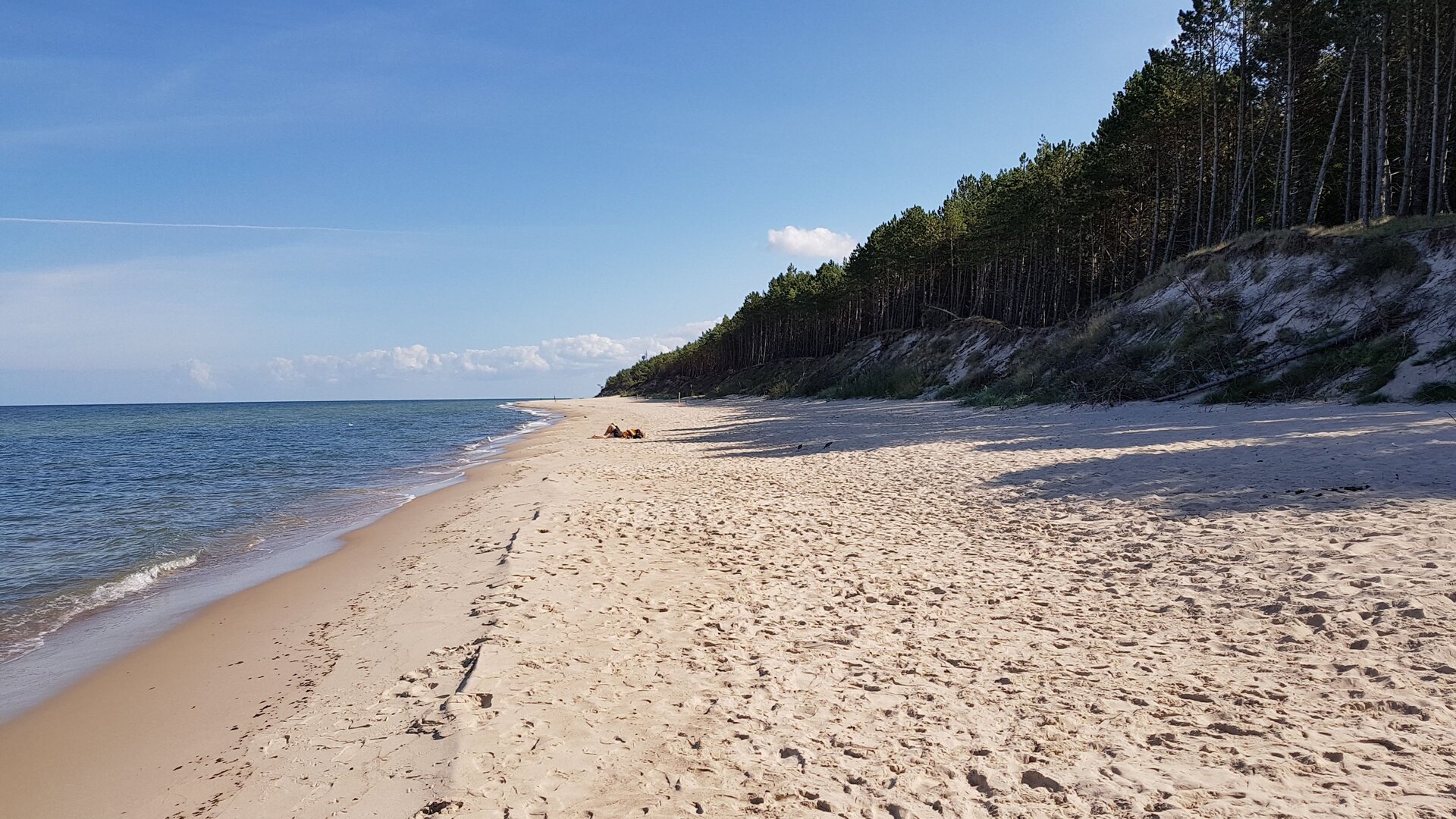 Zdjęcie przedstawia wybrzeże wydmowe. Na fotografii po lewej stronie jest ukazane morze z plażą, natomiast po prawej stronie plaży znajdują się wysokie wydmy porośnięte drzewami.