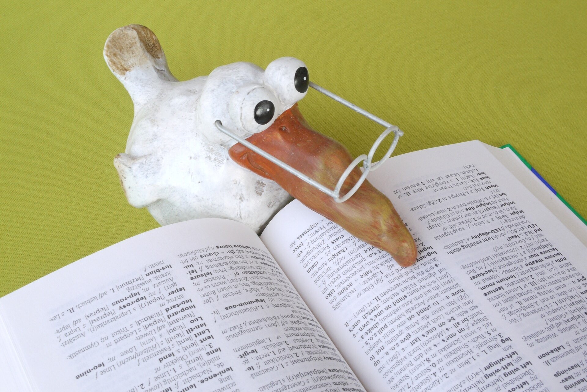 Zdjęcie przedstawia otwarty słownik. Znajduje się przy nim figurka białego ptaka z pokaźnym dziobem, w okularach. Ptak trzyma dziób na słowniku. 