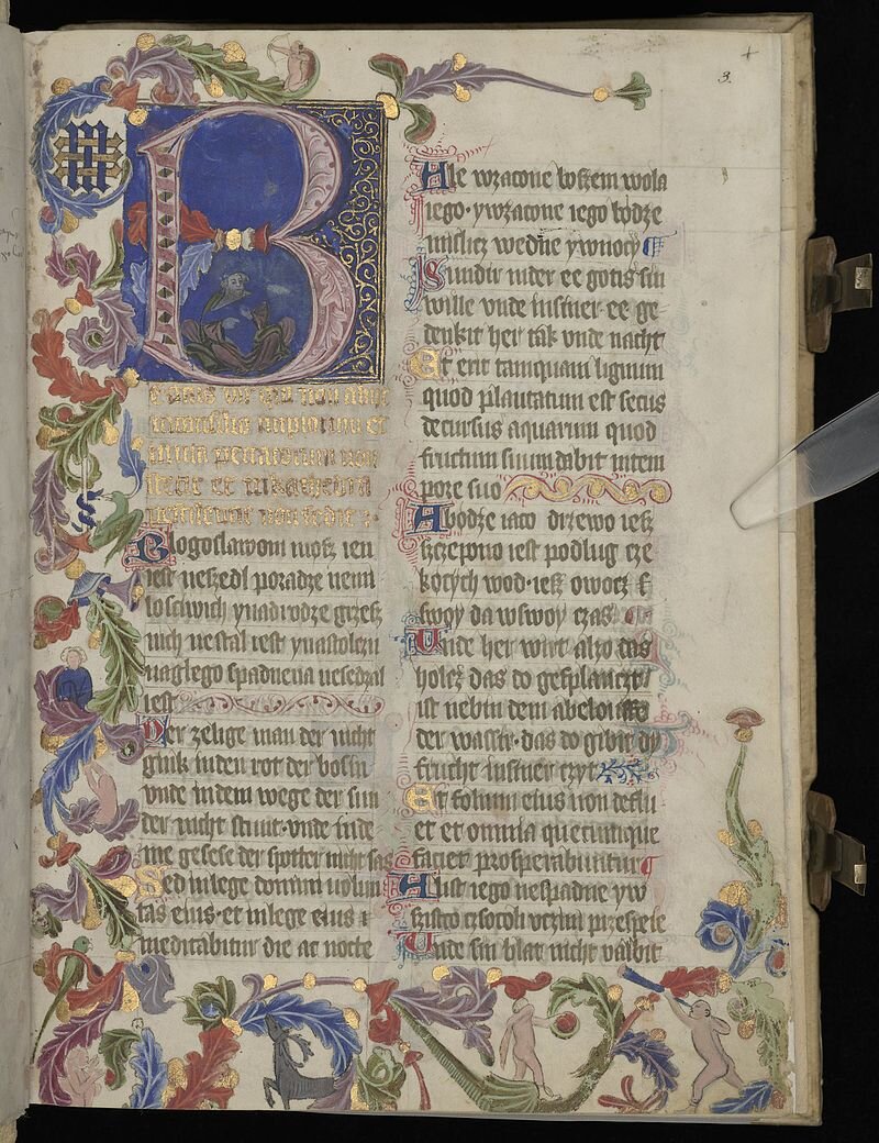 Fotografia przedstawia stronę w otwartej książce zapisaną w obcym języku. Strona ozdobiona jest wokół wzorem splątanych roślin w różnych kolorach.