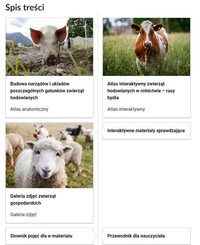 Grafika przedstawia dziewięć kafelków ze spisu treści, które znajdują się obok siebie. Mają prostokątny kształt. W przypadku trzech pierwszych kafelków górną część zajmuje grafika z symbolem danego multimedium. Dolna część to tytuł i nazwa multimedium. Pozostałe kafelki nie posiadają dodatkowo grafiki. Kafelek pierwszy jest zatytułowany: Budowa narządów i układów poszczególnych gatunków zwierząt hodowlanych i jest to atlas anatomiczny. Na zdjęciu znajduje się świnia. Drugi kafelek ma tytuł: Atlas interaktywny zwierząt hodowlanych w rolnictwie – rasy bydła i jest to atlas interaktywny. Fotografia przedstawia krowę. Trzeci kafelek nosi tytuł: Galeria zdjęć zwierząt gospodarskich i jest to galeria zdjęć. Zdjęcie przedstawia owcę. Czwarty kafelek jest zatytułowany: Interaktywne materiały sprawdzające. Piąty kafelek jest zatytułowany: Słownik pojęć dla e‑materiału. Szósty kafelek jest zatytułowany: Przewodnik dla nauczyciela. Siódmy kafelek jest zatytułowany: Przewodnik dla uczącego się. Ósmy kafelek jest zatytułowany: Netografia i bibliografia. Dziewiąty kafelek jest zatytułowany: Instrukcja użytkowania.