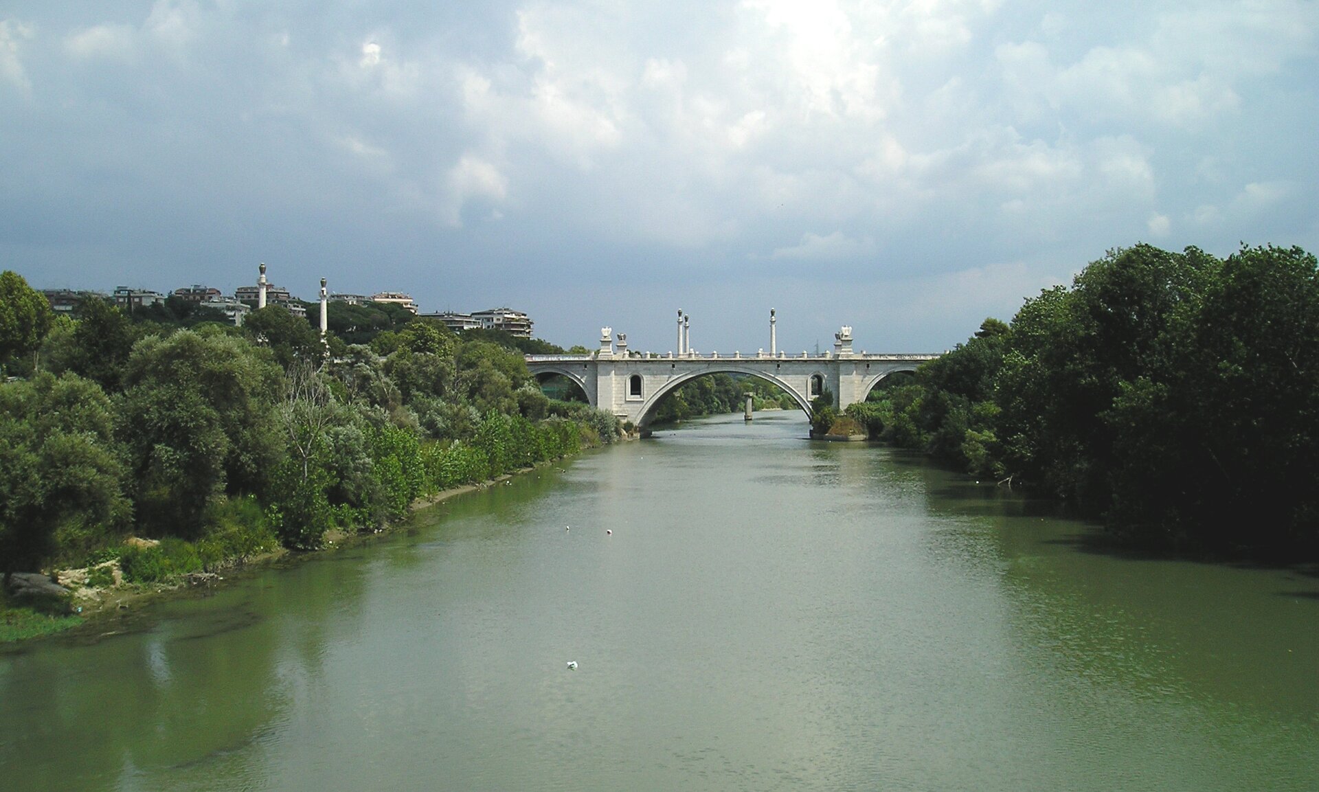 Na zdjęciu rzeka, brzegi porośnięte drzewami, na drugim planie betonowy most. Z lewej strony zabudowania wielorodzinne.