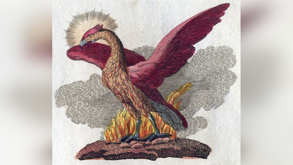 Obraz przedstawia dużego ptaka z rozpostartymi skrzydłami. Ziemia u jego pazurów płonie.  