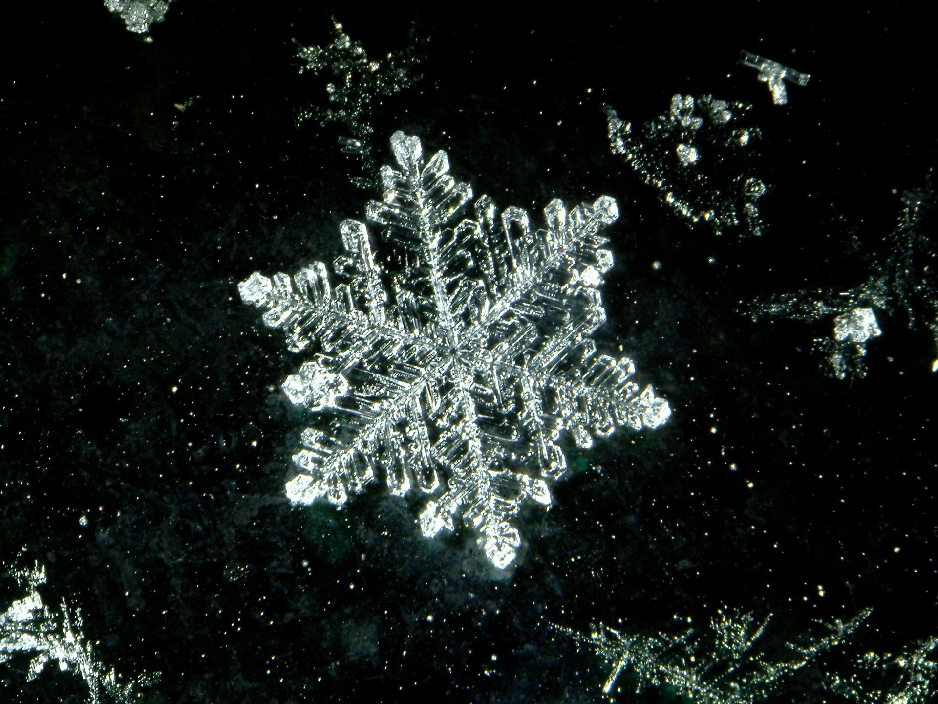 Zdjęcie przedstawiające budowę całego płatka śniegu. Ma kształt sześcioramiennej gwiazdki. Ramiona gwiazdki są symetryczne. Końce ramion śnieżynki są zaokrąglone.