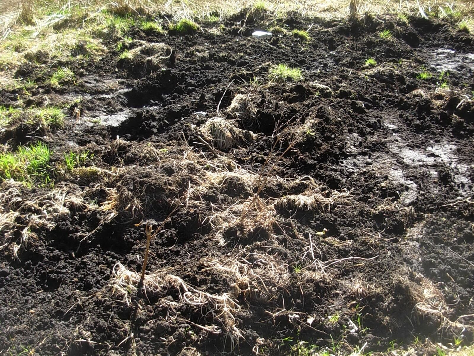 Fotografia przedstawia fragment rozkopanej brązowej gleby z kamieniami.