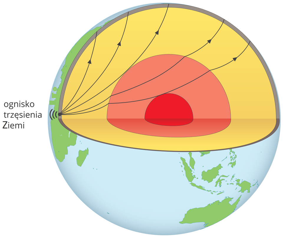 Ilustracja przedstawia kulę ziemską. Lądy zielone, wody niebieskie. Około jedna czwarta kuli została wycięta. Wewnątrz widać czerwone jądro, a nad nim warstwę pomarańczową, powyżej warstwę żółtą, a na samej górze cienką warstwę skorupy ziemskiej w kolorze szaro‑brązowym. Z lewej strony w samym rogu wycinka na powierzchni Ziemi – czarnym punktem zaznaczono ognisko trzęsienia ziemi. W kierunku środka planety promieniście odchodzi od ogniska trzęsienia pięć czarnych linii, które w schematyczny sposób przedstawiają rozchodzenie się fal sejsmicznych. Dodatkowo umieszczono na nich strzałki wskazujące na kierunek rozchodzenia się fal. Fale wychodząc z jednego punktu, początkowo rozchodzą się obok siebie w podobny sposób, wszystkie mają kształt łuku biegnącego na północ planety. Trzy pierwsze linie przechodzą jedynie przez żółtą warstwę, ich tor nie jest zaburzony, kończą się na północnej stronie planety. Dwie pozostałe linie położone poniżej poprzednich, początkowo rozchodzą się razem z nimi w żółtej warstwie, jednak po zetknięciu się z warstwą pomarańczową ulegają załamaniu i zmieniają swój bieg. Dalej rozchodzą się po łukowatym kształcie, jednak ich kierunek nieco zmienia się z północnego na północny wschód. Podobnie dzieje się, gdy fale wychodzą z pomarańczowej warstwy i trafiają na warstwę żółtą, przez co ostatecznie trafiają do miejsca znacznie oddalonego od poprzednich fal.