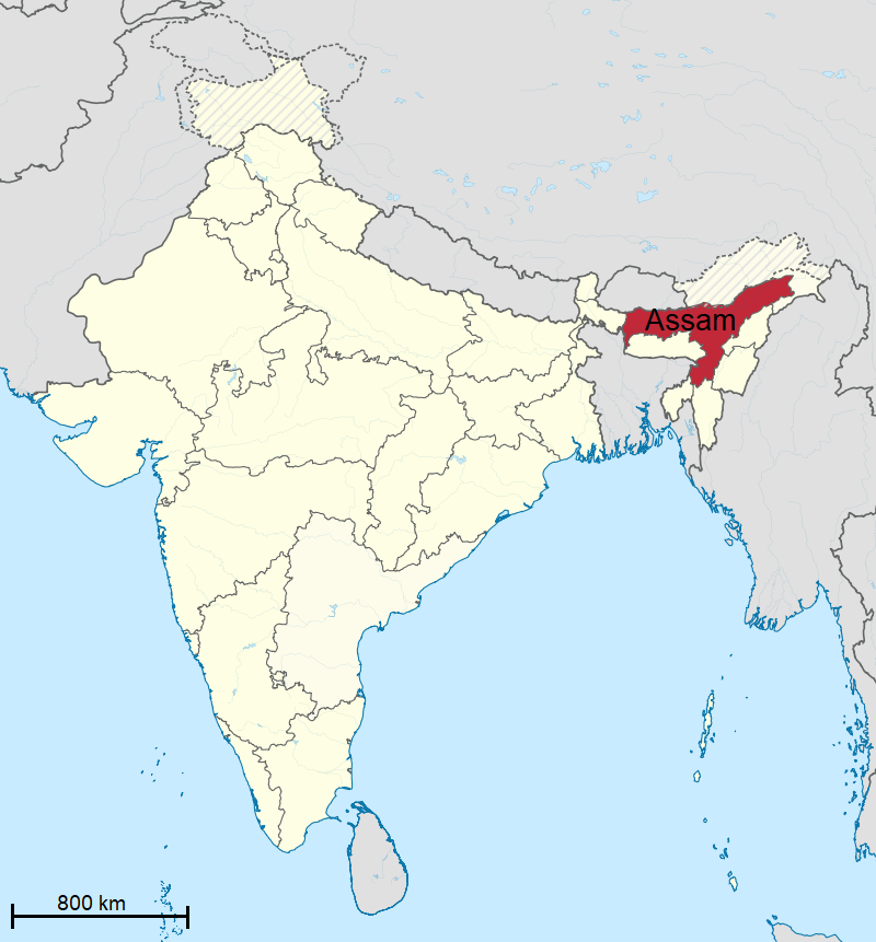 Na mapie Azji Południowej zaznaczono Assam - to stan położony w północno-wschodnich Indiach.