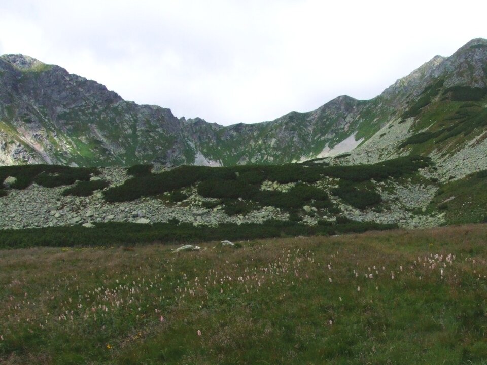 Zdjęcie przedstawia teren górski. Na pierwszym planie jest łąka, tuż za nią wał zbudowany z kawałków skał. Na wale rośnie kosodrzewina. Za wałem jest jezioro oraz górskie szczyty.    