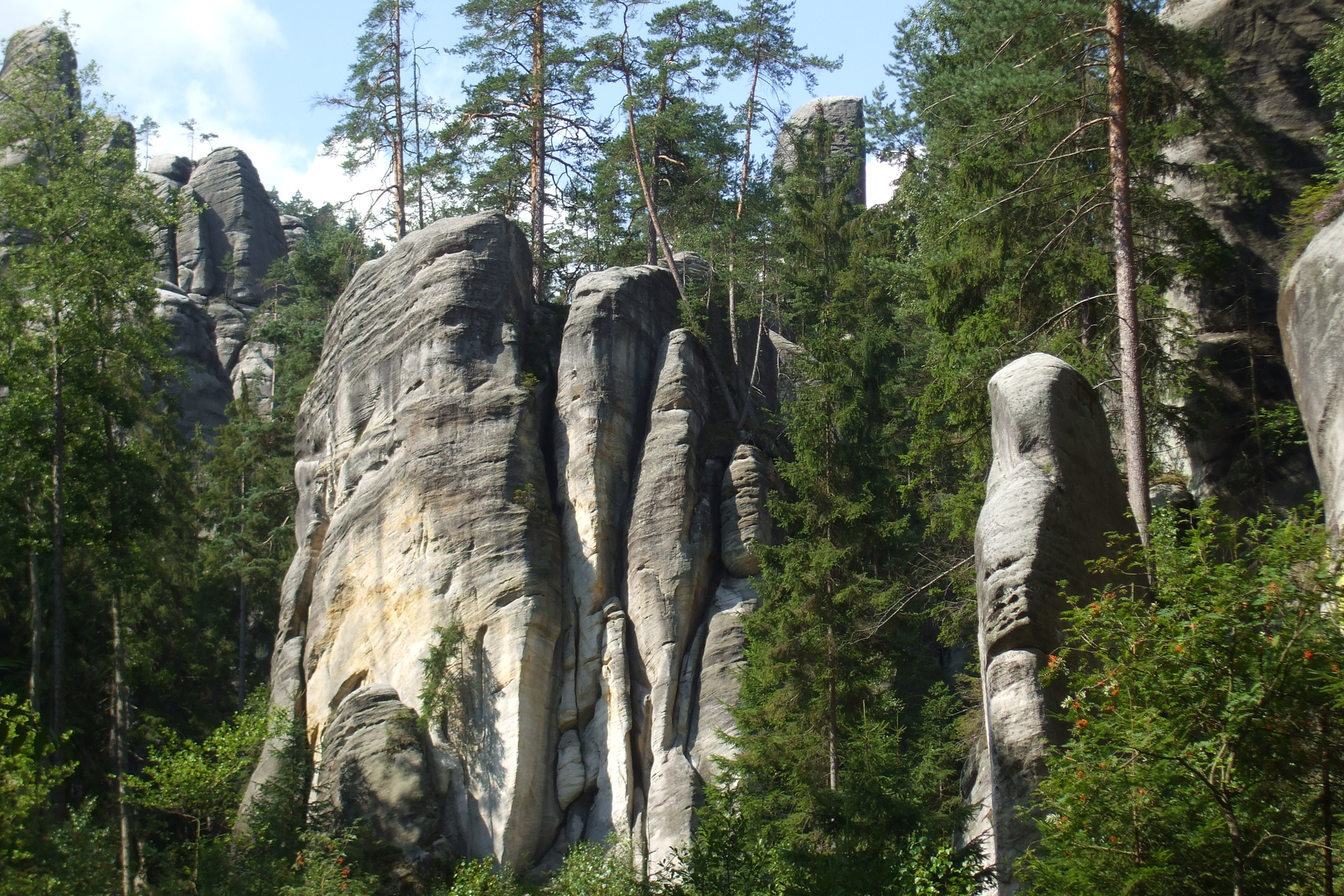 Fotografia prezentuje wysokie skały Gór Stołowych o płaskich szczytach, pomiędzy którymi rosną drzewa iglaste.
