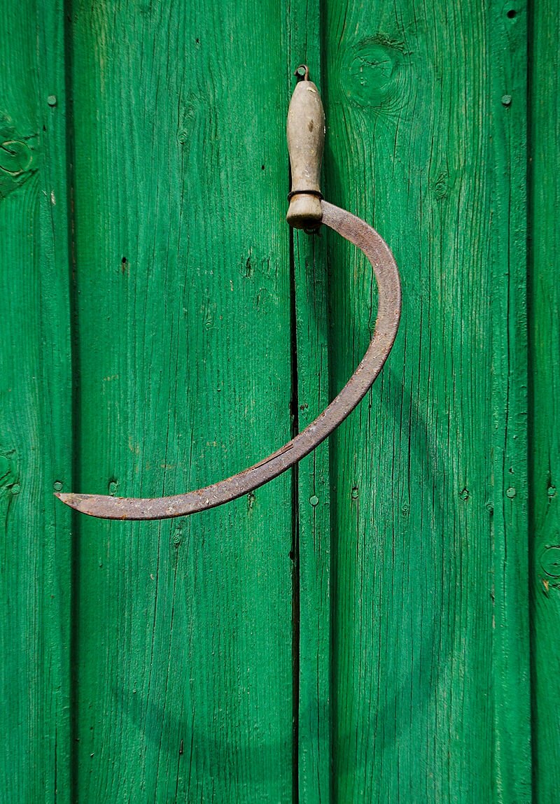 Na zdjęciu przedstawiono narzędzie, które ma ostrze o mocno zakrzywionym kształcie (na kształt fragmentu obwodu koła). Drewniana rękojeść. Ostra, tnąca część znajduje się po wewnętrznej stronie ostrza.