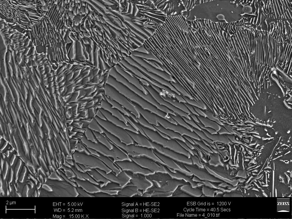 Stop o zawartości węgla 0,77%
 W strukturze perlitu widoczne płytki cementytu i ferrytu - zdjęcie wykonane na mikroskopie SEM