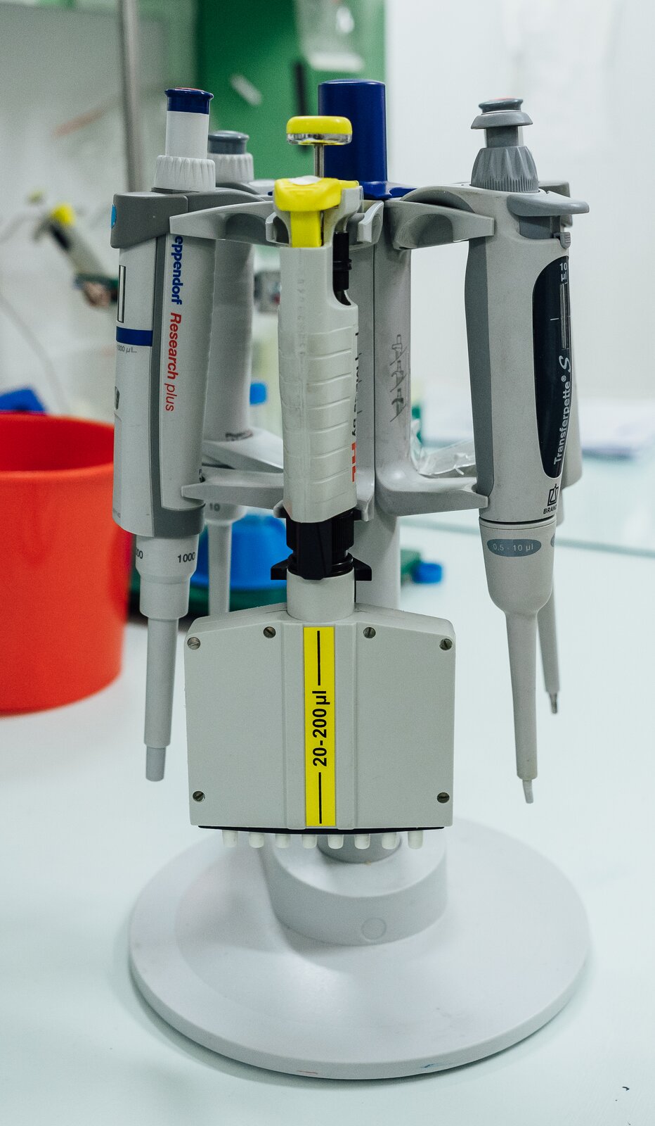 Na zdjęciu znajduje się plastikowy statyw z zawieszonymi pięcioma plastikowymi pipetami. Pipety są koloru szarego, każda z nich ma dodatkowe wstawki w innym kolorze. Pipeta na pierwszym planie różni się od pozostałych. Jest to pipeta wielokanałowa o pojemności od dwudziestu do dwustu mikrolitów, zawierająca osiem wyrzutników.
