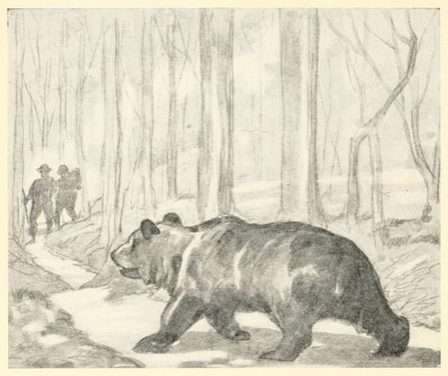 Czarnobiała ilustracja przedstawia pracę Olivera Herforda pod tytułem „O dwóch przyjaciołach i niedźwiedziu”, która przedstawia dużego niedźwiedzia kroczącego ścieżką w lesie. Niedźwiedź ma ciemne futro  i lekko otwarty pysk. W oddali (z lewej górnej strony ilustracji) idzie dwóch mężczyzn – ubranych w kapelusze i ciemne stroje. Mężczyźni nie patrzą się na drogę, głowy mają skierowane na ścieżkę. Obok ścieżki rosną wysokie drzewa.