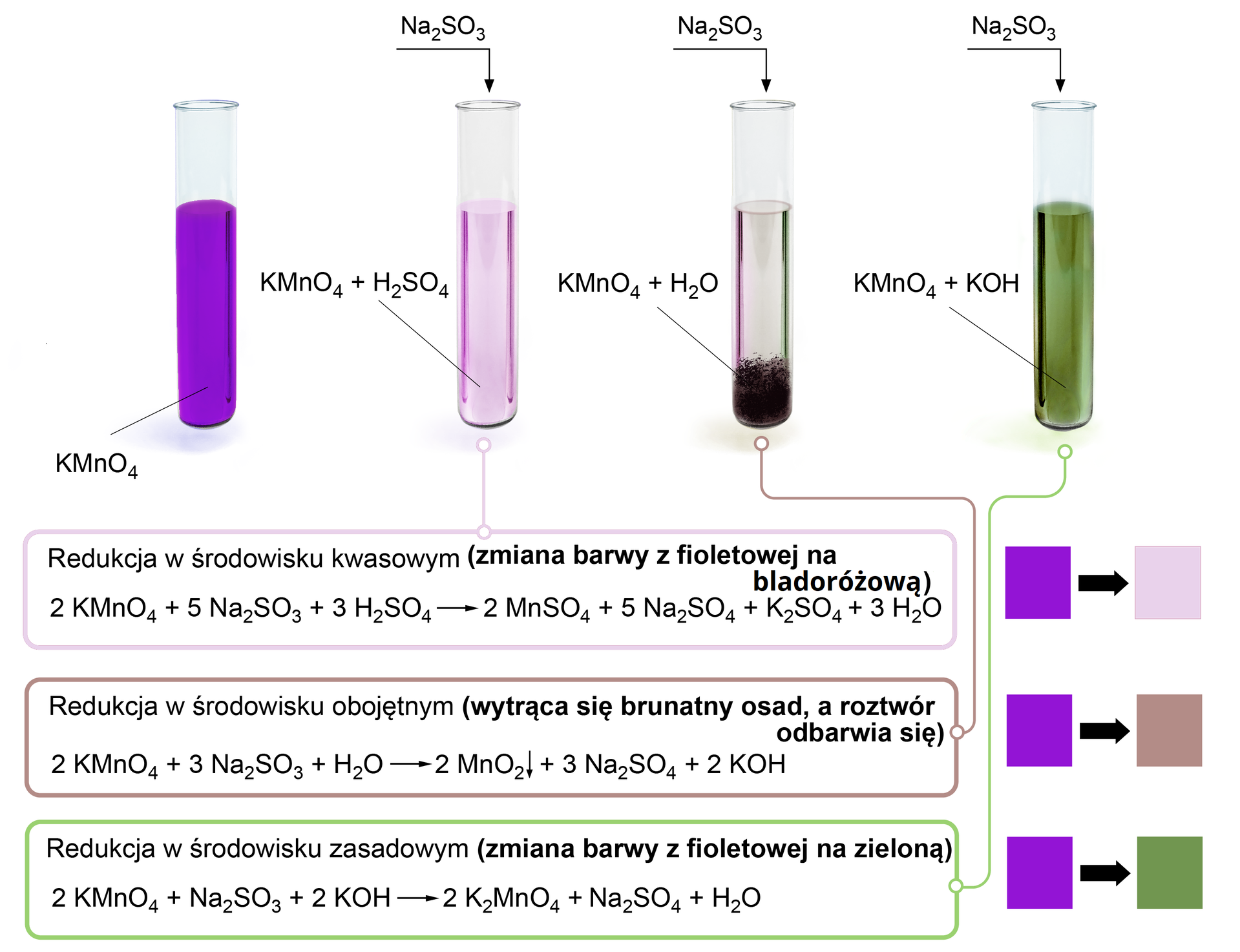 Ilustracja przedstawiająca schemat doświadczenia, w którym przeprowadzono redukcję manganianu(VII) potasu i towarzyszące temu zmiany stopni utlenienia i barwy. Ilustracja przedstawia cztery probówki – w pierwszej probówce znajduje się fioletowy roztwór manganianu(VII) potasu. W drugiej różowy roztwór po dodaniu do manganianu(VII) potasu kwasu siarkowego(VI) oraz siarczanu(IV) sodu. Poniżej znajduje się równanie reakcji dla redukcji w środowisku kwasowym: dwie cząsteczki KMnO4 dodać pięć cząsteczek Na2SO3, dodać trzy cząsteczki H2SO4. Strzałka w prawo, za strzałką dwie cząsteczki MnSO4 dodać pięć cząsteczek Na2SO4, dodać cząsteczka K2SO4, dodać trzy cząsteczki H2O. W trzeciej probówce znajduje się brunatny osad po dodaniu do wodnego roztworu manganianu(VII) potasu siarczanu(IV) sodu. Poniżej znajduje się równanie reakcji dla redukcji w środowisku obojętnym: dwie cząsteczki KMnO4 dodać trzy cząsteczki Na2SO3, dodać cząsteczka wody H2O. Strzałka w prawo, za strzałką dwie cząsteczki MnO2, strzałka w dół, dodać trzy cząsteczki Na2SO4, dodać dwie cząsteczki KOH. W czwartej probówce znajduje się zielony roztwór po dodaniu do manganianu(VII) potasu wodorotlenku potasu oraz siarczanu(IV) sodu. Poniżej znajduje się równanie reakcji dla redukcji w środowisku zasadowym: dwie cząsteczki KMnO4 dodać cząsteczka Na2SO3, dodać dwie cząsteczki KOH. Strzałka w prawo, za strzałką dwie cząsteczki K2MnO4 dodać cząsteczka Na2SO4, dodać cząsteczka H2O.