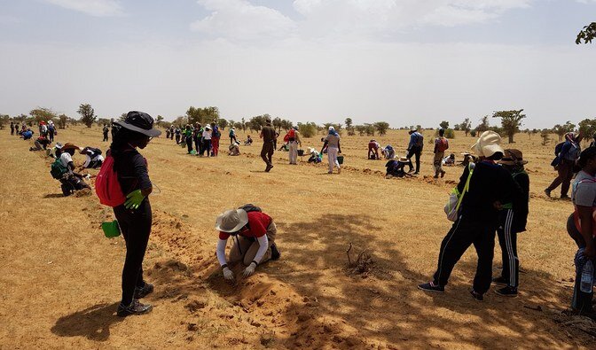 Zdjęcie przedstawia wspólne sadzenie roślin w Senegalu. Widać dużo ludzi pracujących, klęczących na kolanach. Mają kapelusze, czapki chroniące przed słońcem, rękawice na dłoniach ponieważ kopią w gruncie. 