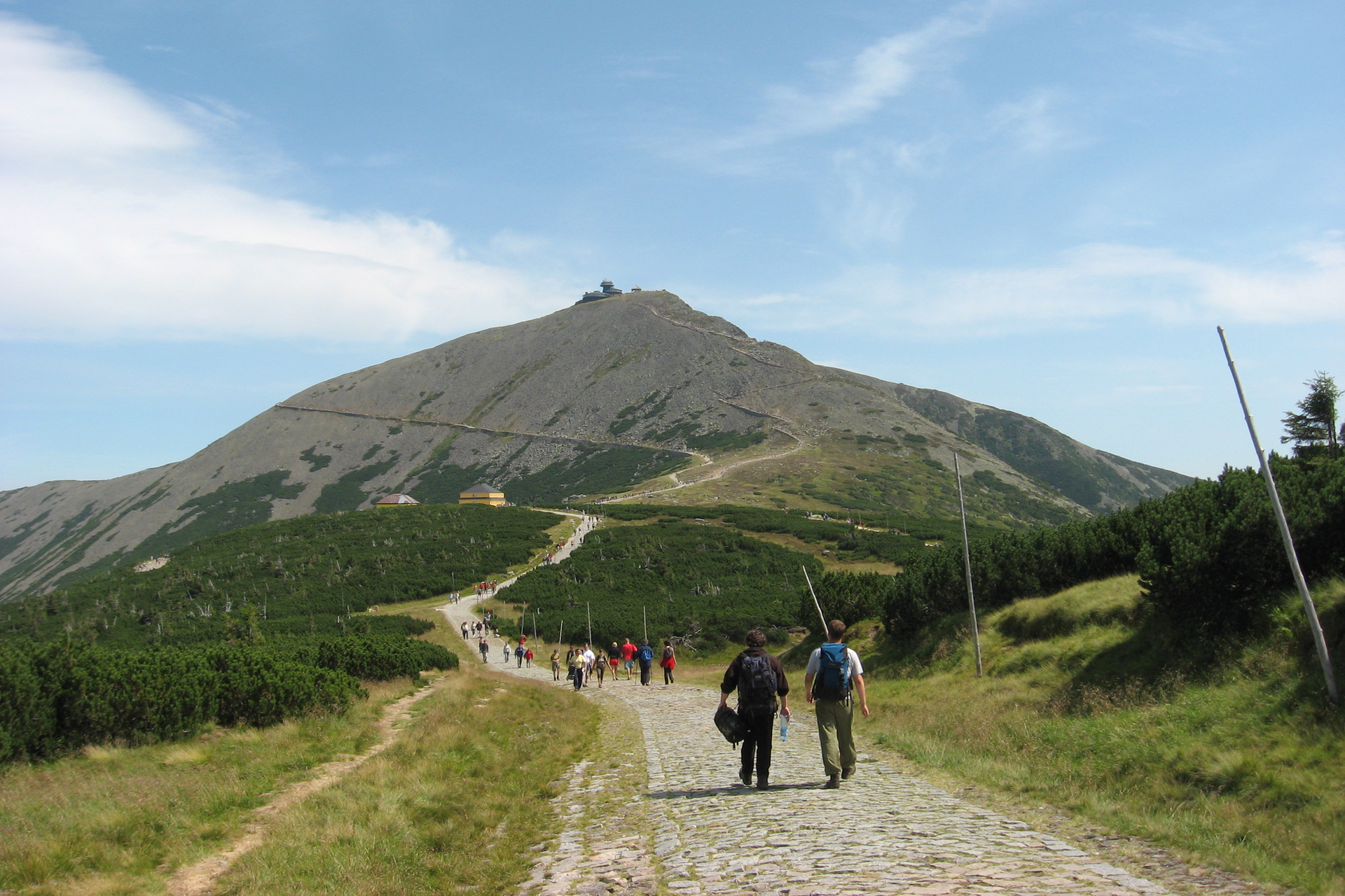 Fotografia prezentuje szlak turystyczny prowadzący na szczyt góry Śnieżki. Szlakiem idą pojedynczo lub w grupach ludzie. Wzdłuż szlaku rosną niskie drzewa iglaste.