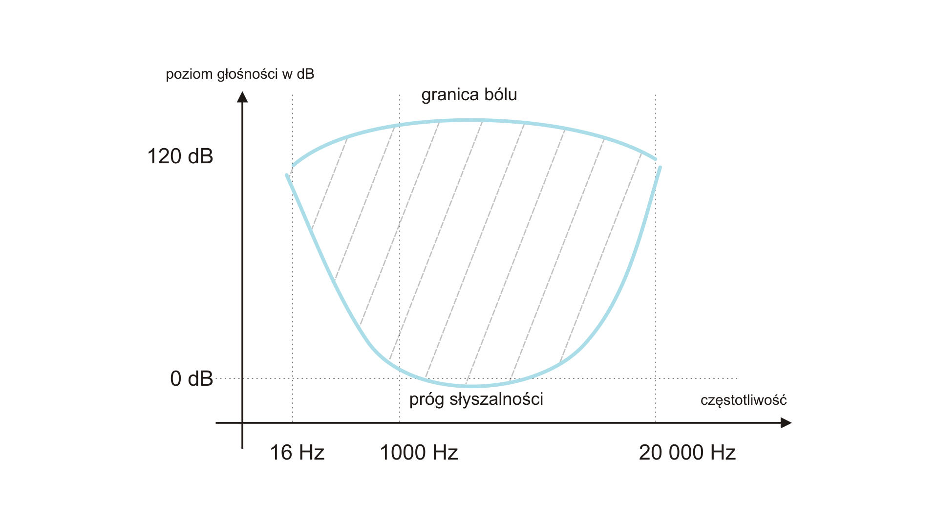 Ilustracja przedstawia pierwszą ćwiartkę układu współrzędnych na białym tle. Przy grocie osi poziomej podpis: częstotliwość; przy grocie osi pionowej podpis: poziom głośności w dB. Narysowano wykresy dwóch krzywych, jednej podpisanej jako: próg słyszalności, drugiej jako: granica bólu. Pierwsza ma kształt zbliżony do uśmiechniętej paraboli, z początkiem w punkcie około sto dwadzieścia decybeli dla szesnastu herców, minimum dla około zera decybeli i końcem na wysokości stu dwudziestu decybeli dla około dwudziestu tysięcy herców. Krzywa granicy bólu to wypukły łuk, której początek i koniec pokrywają się z początkiem i końcem krzywej progu słyszalności. Obszar między krzywymi został zakreskowany.