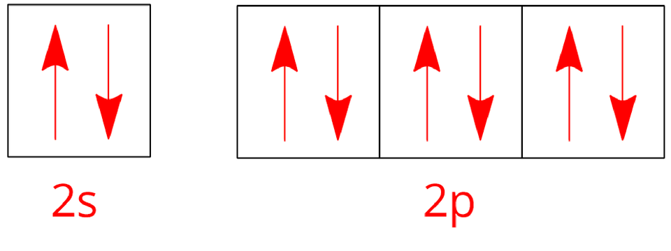 Na ilustracji ukazano zapis graficzny konfiguracji elektronowej poziomu walencyjnego neonu. Z lewej strony znajduje się kwadrat, w którym znajdują się dwie czerwone strzałki: jedna skierowana w górę i jedna skierowana w dół. Pod spodem znajduje się czerwony podpis: dwa s. Dalej znajdują się trzy kwadraty, w każdym są umieszczone dwie czerwone strzałki: jedna skierowana w górę i jedna skierowana w dół. Pod spodem znajduje się czerwony podpis: dwa p. 
