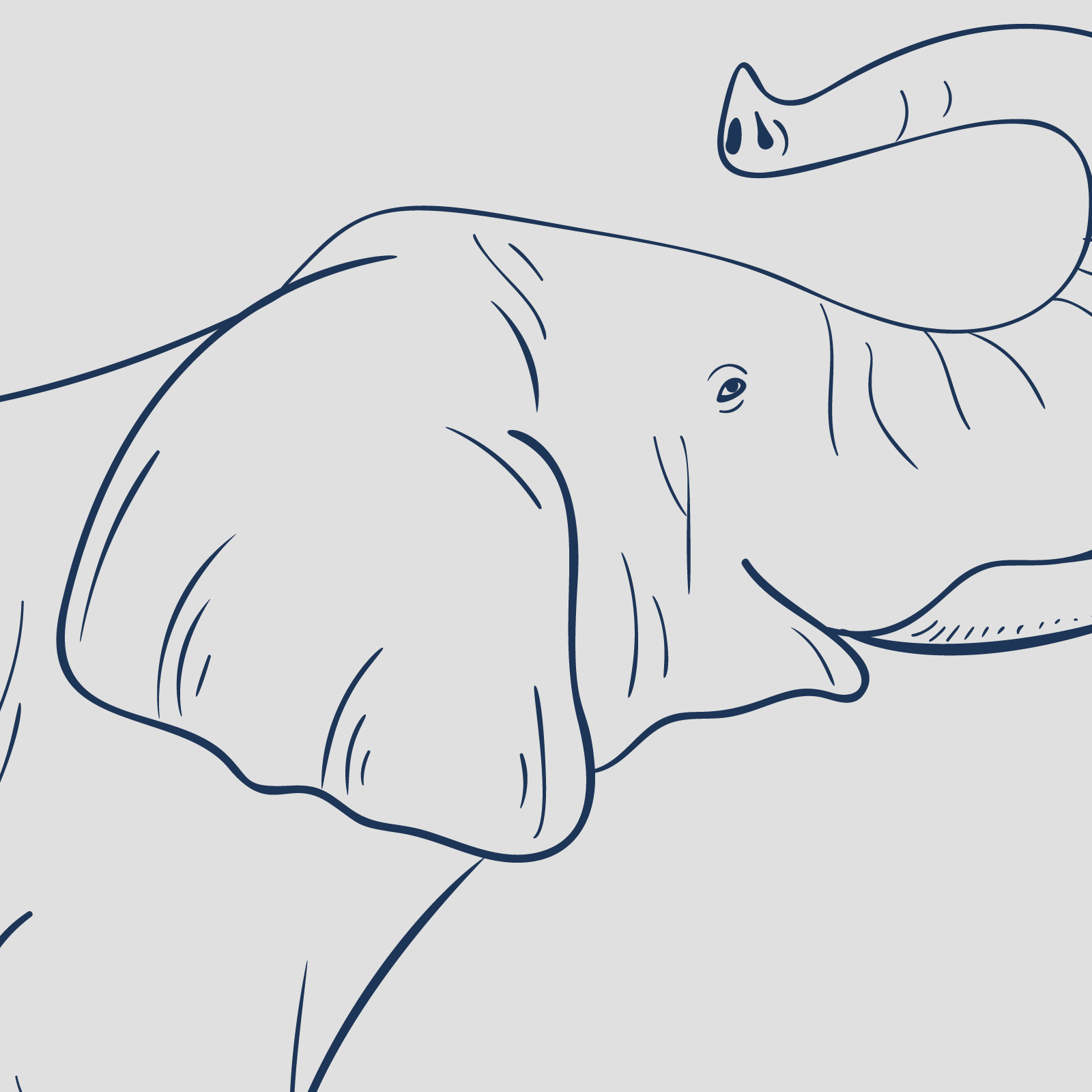 Ilustracja przedstawia czarno‑biały szkic słonia.