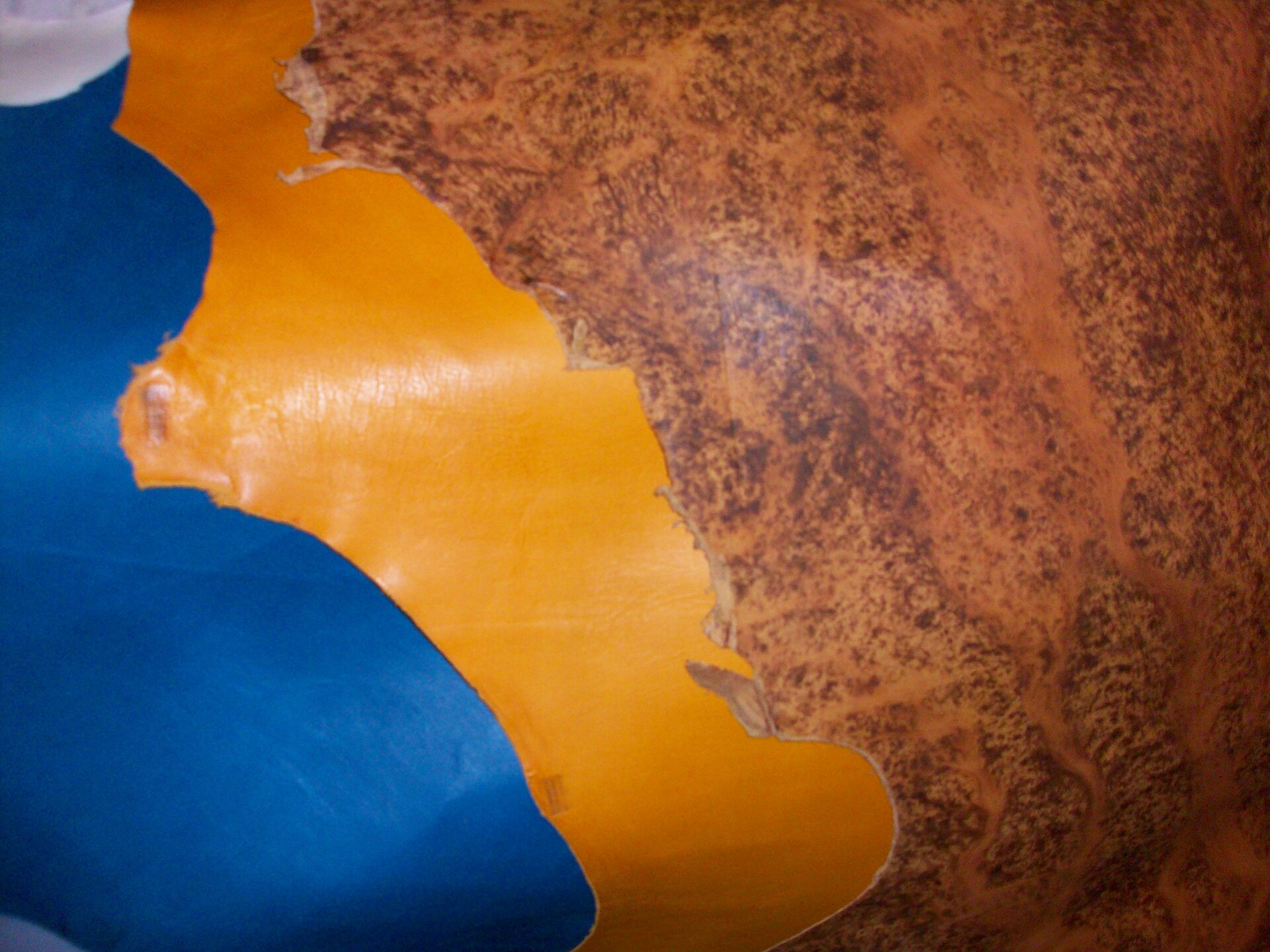 Zdjęcie przedstawia płaty skóry owczej. Od strony lica skóra jest brązowa w ciemnobrązowe plamy. Dolny płat skóry jest ciemnożółty. 
