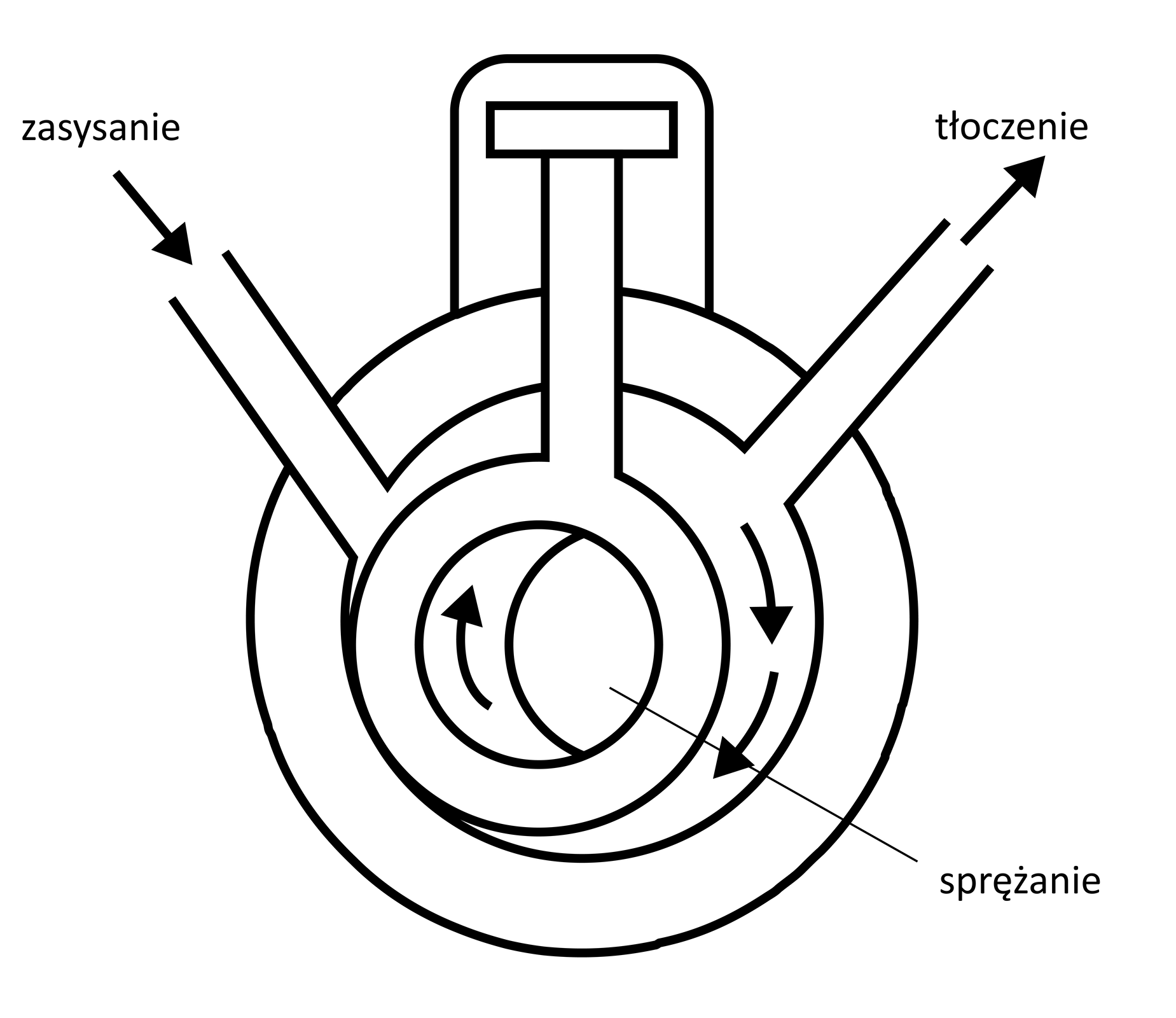 Ilustracja przedstawia sprężarkę rotacyjną. Ma okrągłą obudowę. Z górnej części wystaje tłok, który wirując wewnątrz sprężarki spręża powietrze. W obudowie znajdują się dwa otwory prowadzące do jego wnętrza. Z lewej strony umiejscowiony jest otwór zasysający powietrze do środka. Z prawej strony u góry otwór, przez który wylatuje powietrze stłoczone.