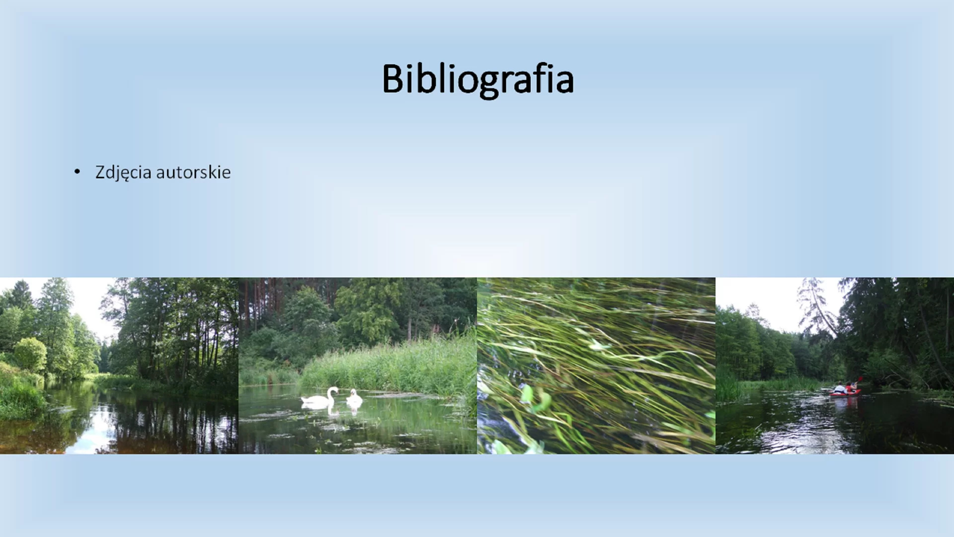 Dziewiąty slajd pod tytułem: "Bibliografia". Pod tytułem znajduje się tekst: "Zdjęcia autorskie". Na samym dole znajdują się cztery zdjęcia prezentujące las, łabędzie, podwodne rośliny i osobę w kajaku. Zdjęcia zostały zrobione z perspektywy osoby siedzącej w kajaku.
