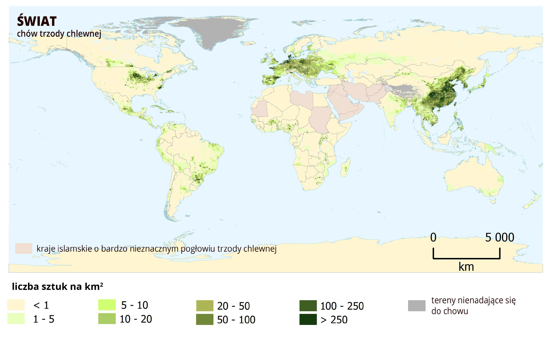 Ilustracja przedstawia mapę świata. Mapa pokazuje rozmieszczenie chowu trzody chlewnej. W legendzie oznaczonych jest osiem przedziałów. Każdy ma swój kolor. Najjaśniejszym – beżowym oznaczono obszary, gdzie chowa się poniżej 1 sztuki trzody chlewnej na kilometr kwadratowy. Następne przedziały to 1–5 (kolor bardzo jasnozielony), 5–10 (kolor jasnozielony), 10–20 (kolor bardzo zielony), 20–50 (kolor ciemnozielony), 50–100 (kolor khaki), 100–250 (kolor khaki ciemny), powyżej 250 sztuk na kilometr kwadratowy (kolor khaki bardzo ciemny). Obszary intensywnego chowu trzody chlewnej to obszary na południe od Wielkich Jezior w Ameryce Północnej, Ameryka Środkowa. W Ameryce Południowej – południowo‑wschodnia Brazylia. Europa Zachodnia, Wschodnia, Centralna i Półwysep Iberyjski. Azja Południowo‑Wschodnia i Japonia. W Afryce Nigeria, Benin, Burkina Faso oraz Uganda.