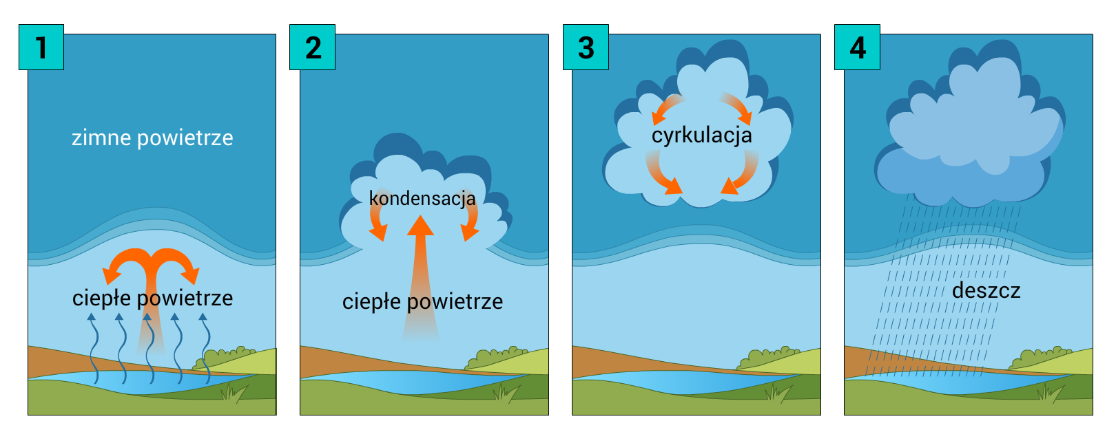 Kliknij, aby powiększyć. Ilustracja przedstawia 4 grafiki. Na pierwszej grafice widać, jak ze zbiornika wodnego unoszą się strzałki i opadają z powrotem w kierunku ziemii. Nad nimi napis: ciepłe powietrze. W górze obrazka widać niebieskie niebo, a na nim napis: zimne powietrze. Na drugim obrazku widać dużą strzałkę prowadzącą od zbiornika wodnego w górę. Na strzałce napis: ciepłe powietrze. Na niebie widać zarys chmury, a w niej dwie strzałki po bokach opadające w dół. W chmurze jest napis: kondensacja. Na trzecim obrazku widać unoszącą się chmurę z czterema strzałkami w środku i napisem: cyrkulacja. Strzałki tworzą okrąg. Na czwartym obrazku widać chmurę na tle nieba i padający z niej deszcz. Pod chmurą jest napis: deszcz.