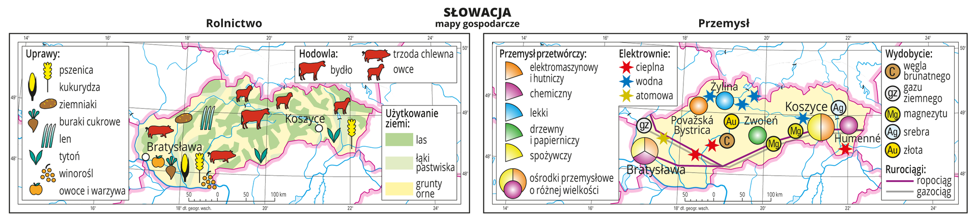 Ilustracja przedstawia dwie mapy gospodarcze Słowacji . Mapa pierwsza – rolnictwo, mapa druga – przemysł. Na mapie rolnictwa tło w kolorze żółtym (grunty orne), jasnozielonym (łąki i pastwiska) i zielonym (lasy). Na mapie sygnatury obrazujące uprawy roślin (pszenica, kukurydza, ziemniaki, buraki cukrowe, len, tytoń, winorośl, owoce i warzywa) oraz hodowlę zwierząt (bydło, trzoda chlewna, owce). Na mapie przemysłu sygnatury kołowe – ośrodki przemysłowe. Duże w Bratysławie, Koszycach, kilka mniejszych. Przemysł elektromaszynowy i hutniczy, chemiczny, lekki, drzewny i papierniczy oraz spożywczy. Kilka elektrowni cieplnych i wodnych oznaczonych kolorowymi gwiazdkami, jedna elektrownia atomowa, ropociąg i gazociąg oznaczone liniami. Sygnaturami oznaczone wydobycie węgla brunatnego, gazu ziemnego, magnezytu, srebra i złota. Obie mapy zawierają południki i równoleżniki, dookoła map w białych ramkach opisano współrzędne geograficzne.