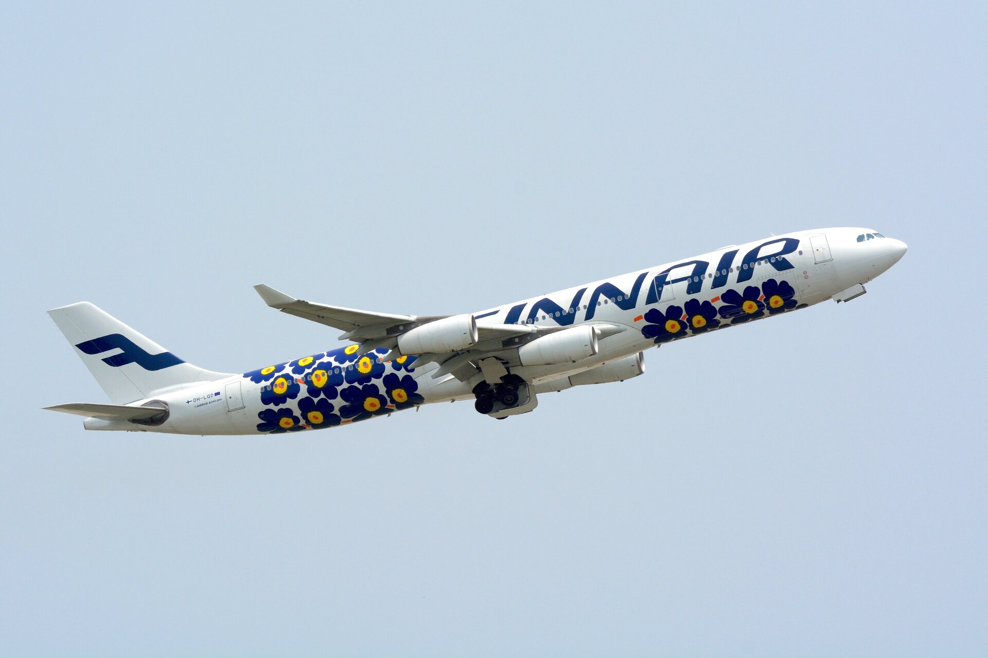 Fotografia przedstawia wznoszący się samolot pasażerski fińskich linii lotniczych Finnair. Sfotografowany samolot to Airbus A340 na którym namalowany został wzór Maiji Isoli – niebiesko‑żółte kwiaty z małymi czerwonymi kropkami w samym środku. Sam samolot jest biały z niebieskimi napisami oraz logo. Niebo jest jasnoniebieskie. 