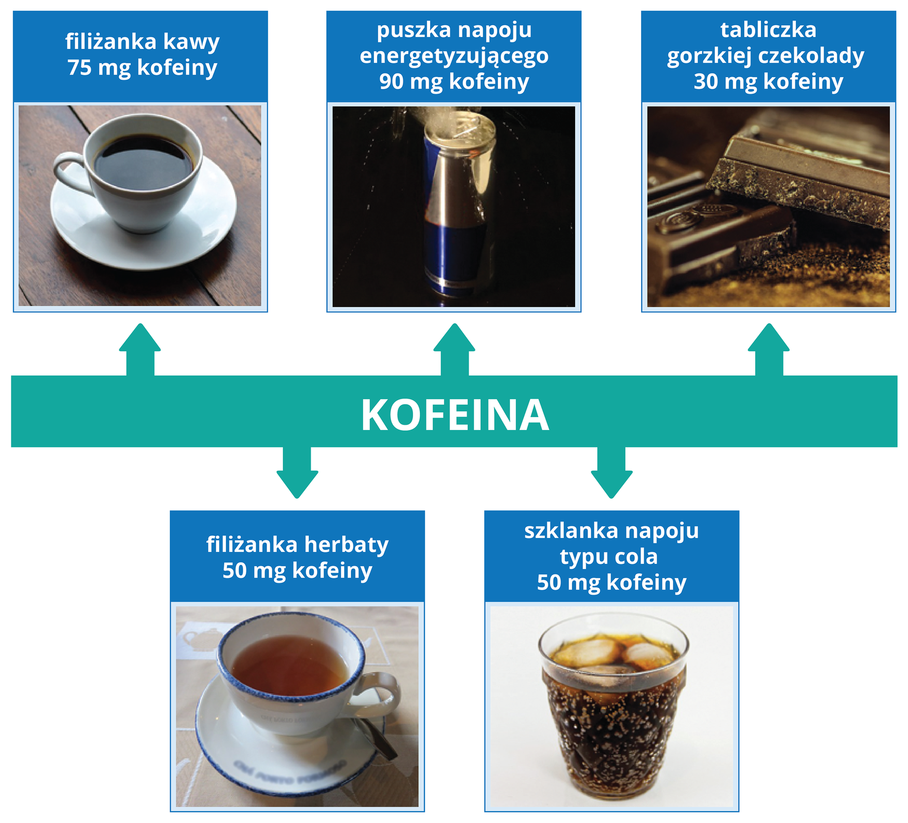 Ilustracja przedstawia zawartość kofeiny w różnych produktach spożywczych. Zdjęcie filiżanki kawy. Podpis: filiżanka kawy – 75 mg kofeiny. Zdjęcie filiżanki herbaty. Podpis: filiżanka herbaty – 50 mg kofeiny. Zdjęcie puszki napoju energetyzującego. Podpis: puszka napoju energetyzującego – 90 mg kofeiny. Zdjęcie szklanki z colą jak we wzorze. Podpis: szklanka napoju typu cola – 50 mg kofeiny. Zdjęcie tabliczki czekolady Podpis: tabliczka gorzkiej czekolady – 30 mg kofeiny.