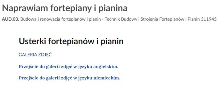 Grafika przedstawia widok przejścia do galerii zdjęć w językach obcych.