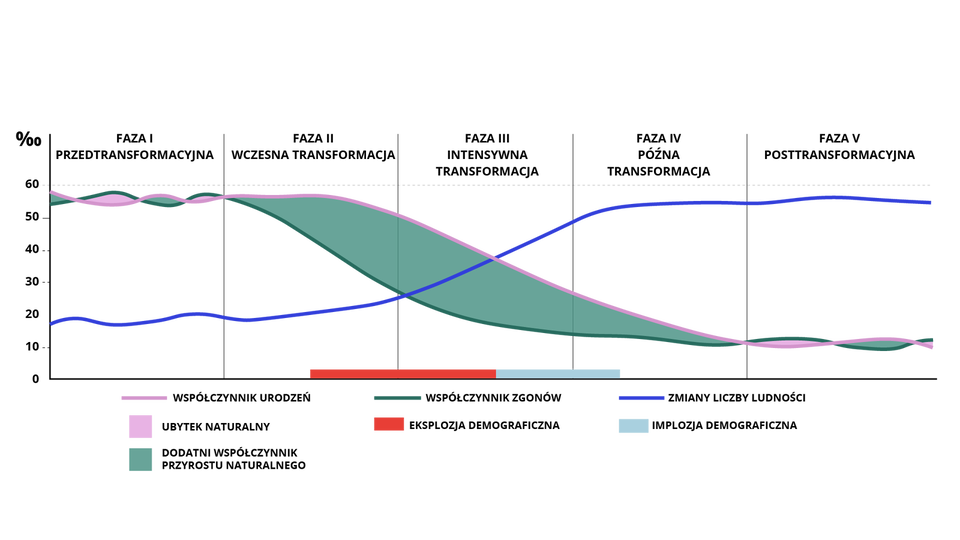 Wykres przedstawia fazy rozwoju demograficznego. Pierwsza faza to faza przedtransformacyjna, naturalnie zastojowa. Druga faza to faza wczesnej transformacji, progresywna wczesna. Trzecia faza to faza intensywnej transformacji, progresywna późna. Czwarta faza to późna faza transformacji, zastojowa dojrzała. Piąta faza to faza posttransformacyjna regresywna. Na wykresie oznaczono liczbę ludności. W pierwszej fazie jest ona na niskim poziomie i powoli zaczyna rosnąć przez fazę drugą, trzecią i czwartą, aby w piątej fazie osiągnąć stały poziom. Na wykresie oznaczono również współczynnik urodzeń, który będąc bardzo wysoki w fazie pierwszej, lekko spada w fazie drugiej, w fazie trzeciej spada bardzo dynamicznie, a następnie w fazie czwartej i piątej utrzymuje się mniej więcej na stałym poziomie. Na wykresie przedstawiono również współczynnik zgonów, podobnie jak współczynnik urodzeń, w fazie pierwszej jest on na bardzo wysokim poziomie, w fazie drugiej i trzeciej od razu gwałtownie spada, by fazie czwartej i piątej osiągnąć mniej więcej ten sam poziom co współczynnik urodzeń. Spadek współczynnika zgonów i jednocześnie współczynnika urodzeń oznaczony jest na wykresie jako obszar wspólny tzw. przyrost naturalny.
